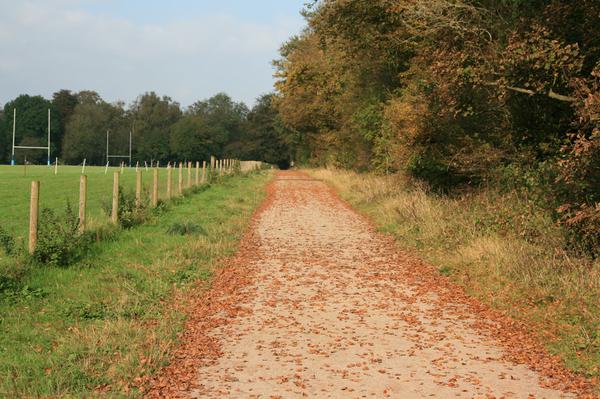 An autumnal view.