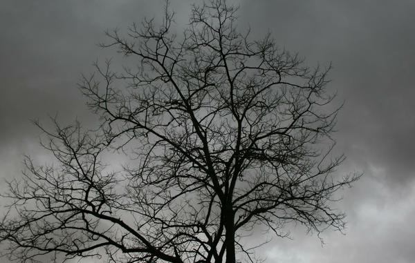 There seemed to be more colour in the sky.