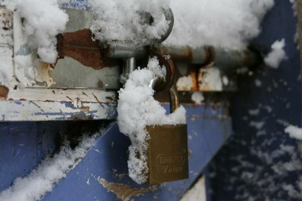 Even the gate to the back yard got a good frosting of snow.